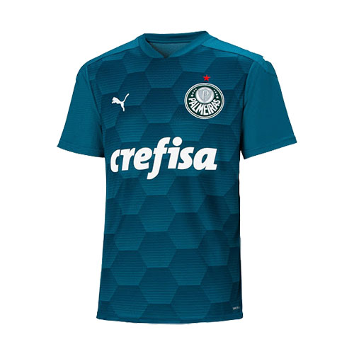 Palmeiras Soccer Jersey Goalkeeper Blue Replica 2020 - Reps Jerseys