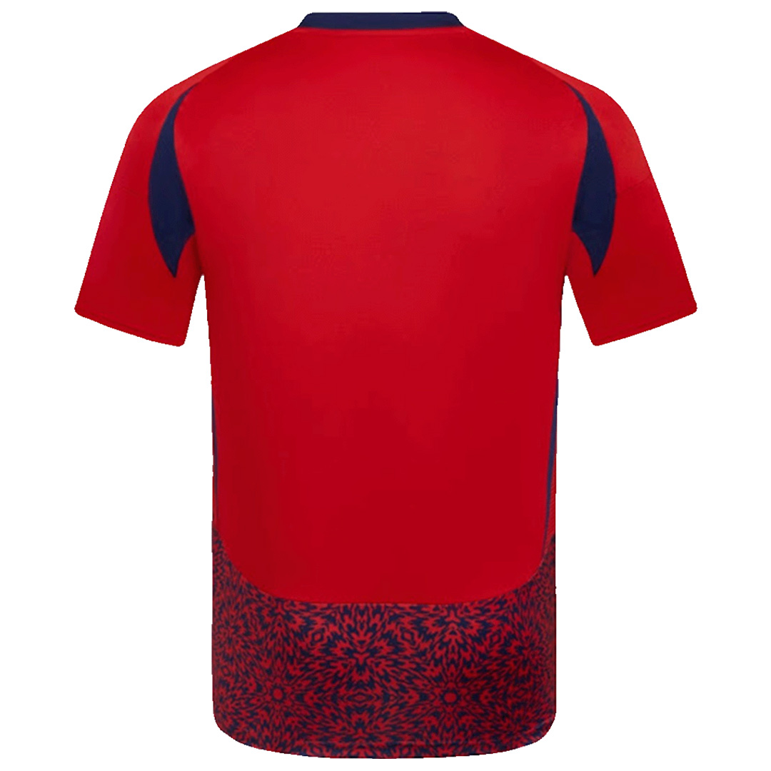 Costa Rica Home Jersey Copa America 2024 - Reps Jerseys