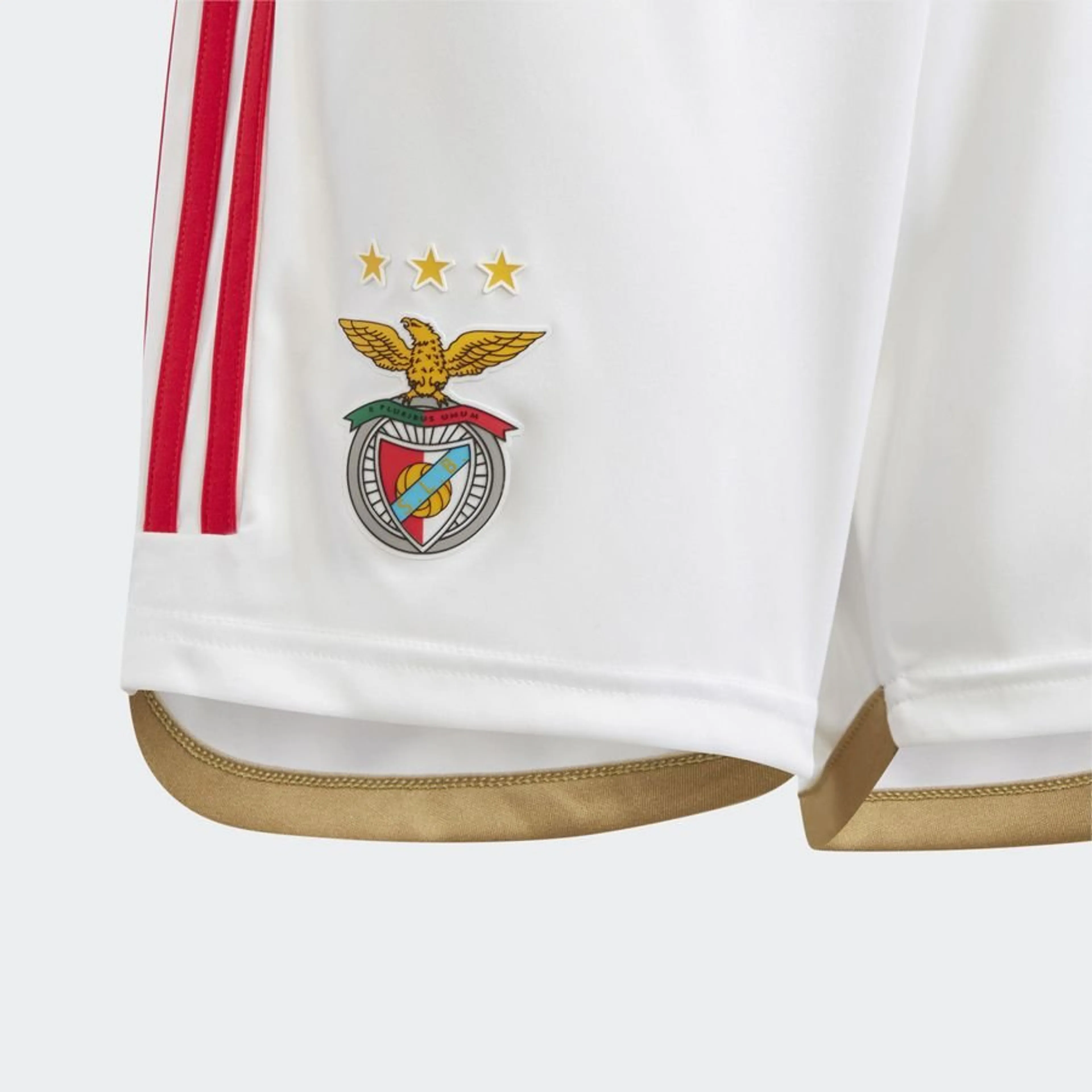 What Makes Benfica Short Shirts Special for Collectors - Reps Jerseys
