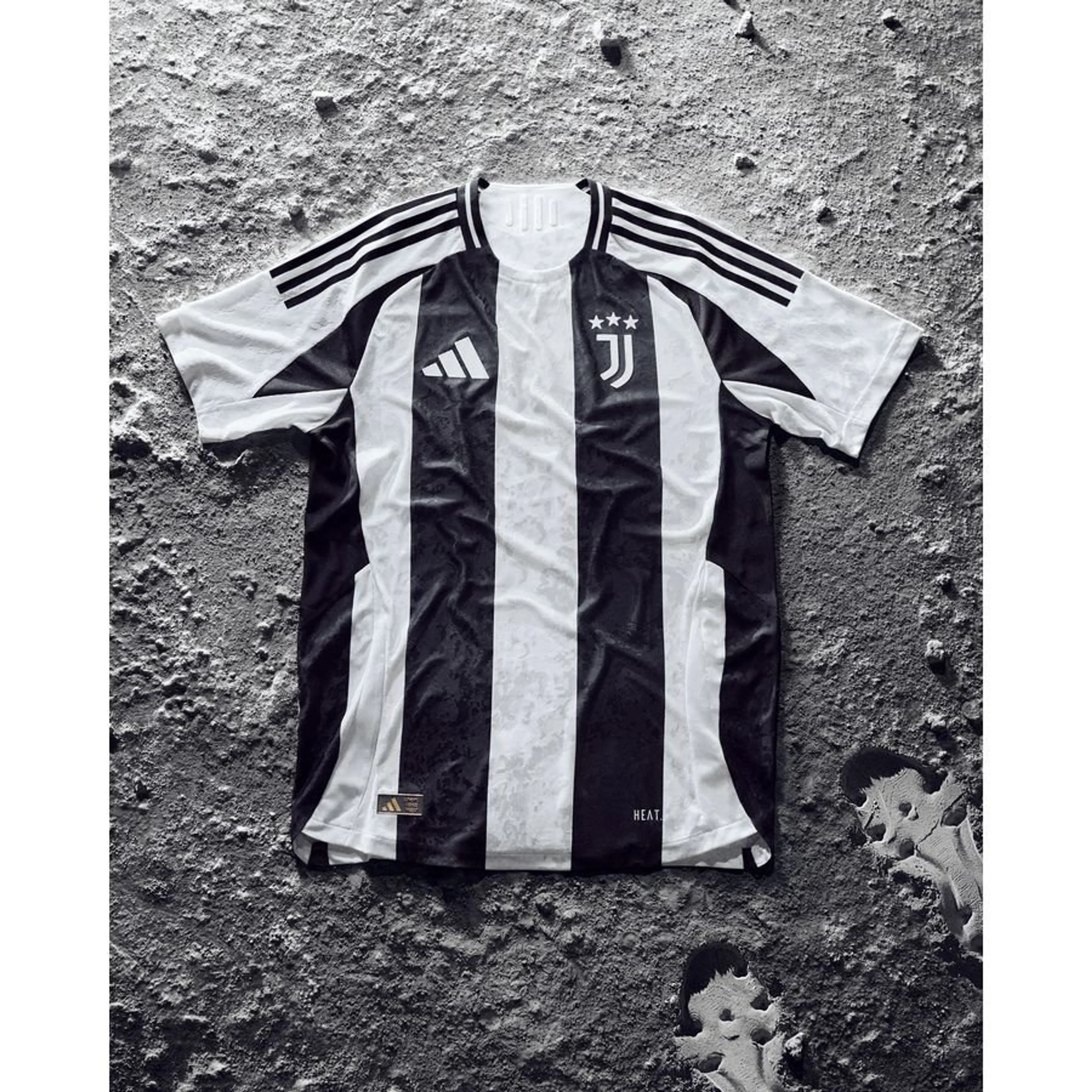 Pasted Image